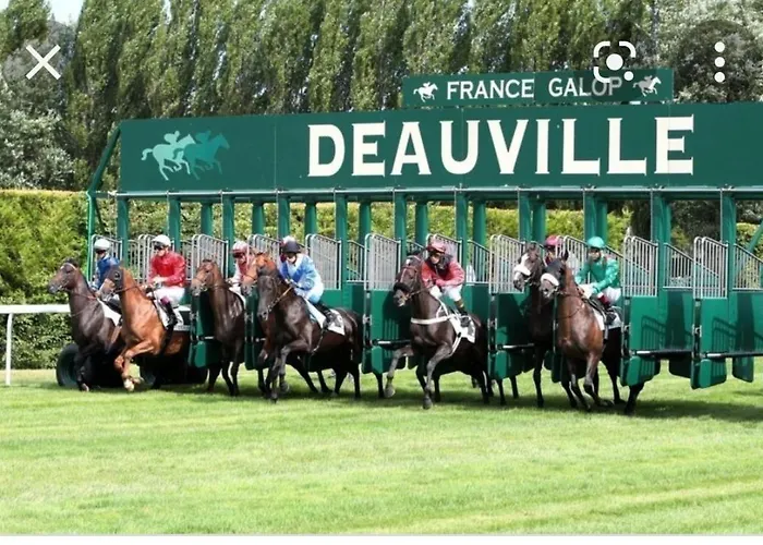 Apartment - Du Golf 2 Deauville